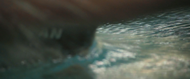Image 32